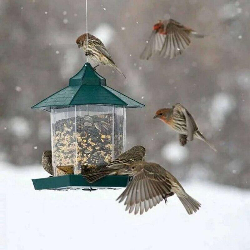 Weatherproof Avian Feeder Box