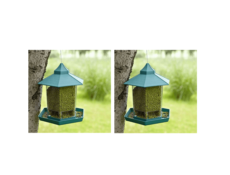 Weatherproof Avian Feeder Box