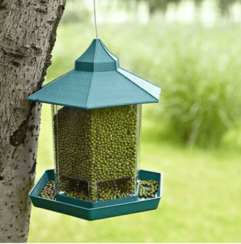 Weatherproof Avian Feeder Box