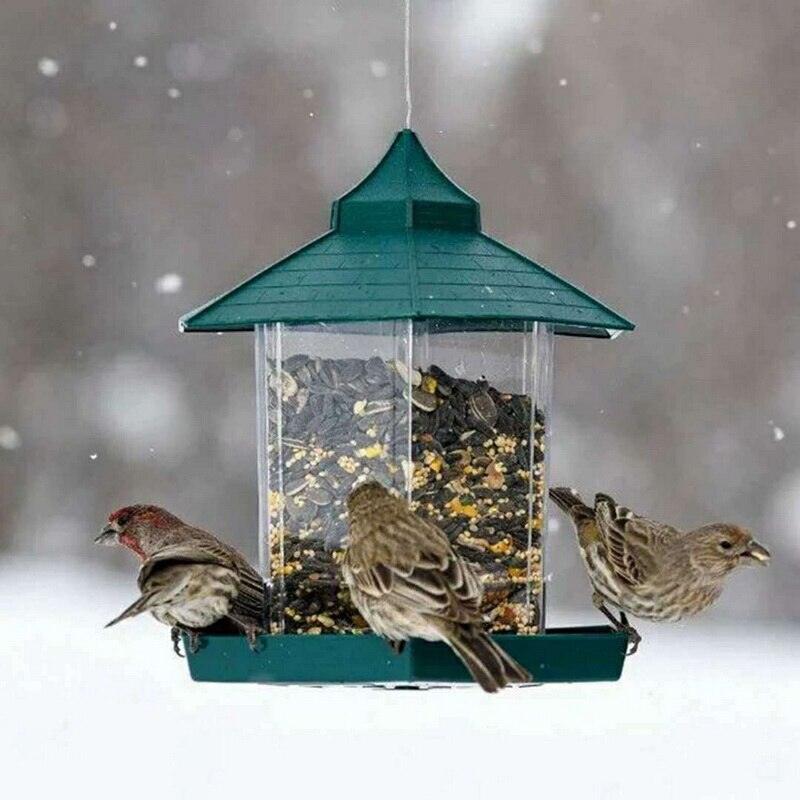 Weatherproof Avian Feeder Box