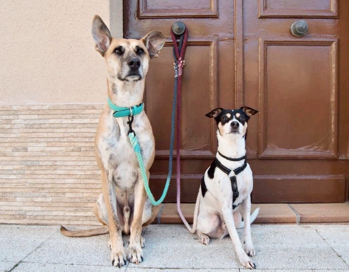 ROPE LEASH - SCARLETT